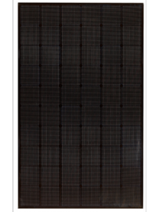 lg neon black zonnepanelen